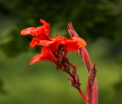 2023 09 17 LongFellowGardens 031